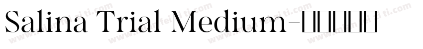 Salina Trial Medium字体转换